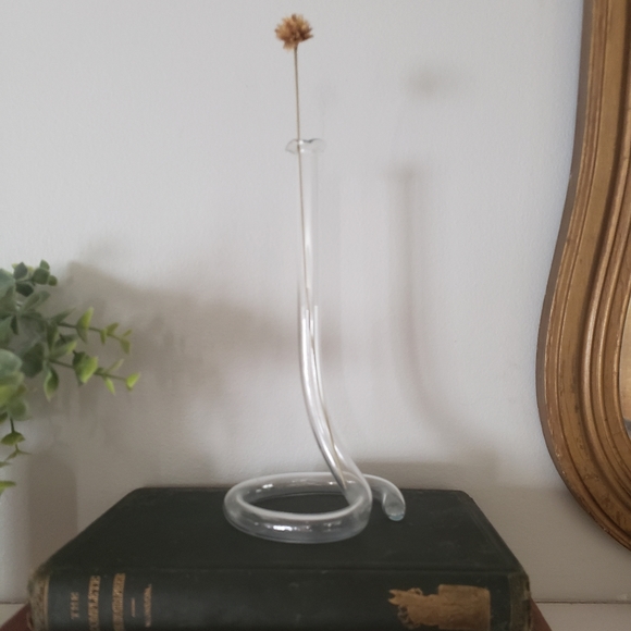 None Accents Vintage Glass Test Tube Bud Vase Poshmark